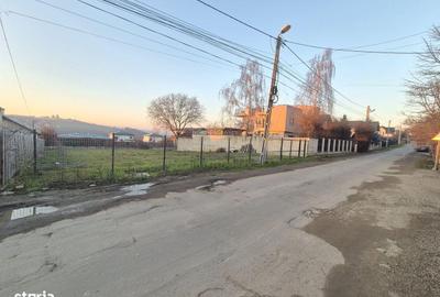 Spațiu comercial, în Bucium - 2