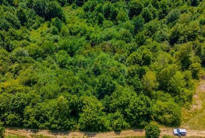 COMISION 0% Teren Grid/Inima Naturii/ Oportunitate de inv... - 10