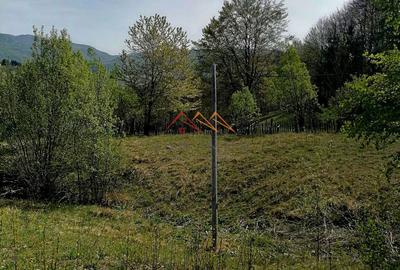Teren Construcții extravilan de 23000 mp, în Valea Doftanei - 5