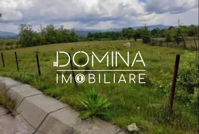 Teren de 5000 mp, în Central - 5