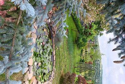 Casă cu 6 camere cu Teren 937 Mp în Mogoșești - 7