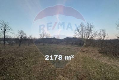 Teren de 3121 mp, în Buhoci - 3