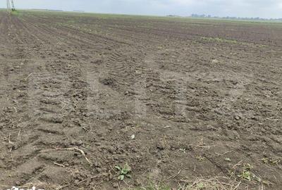 Teren de 390000 mp, în Iosefin - 3