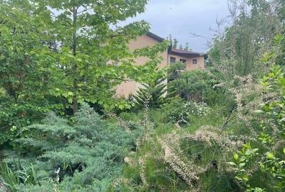 VILA INDIVIDUALA P+1 / PIPERA / DRUMUL BISERICII / 1350 TEREN - 10