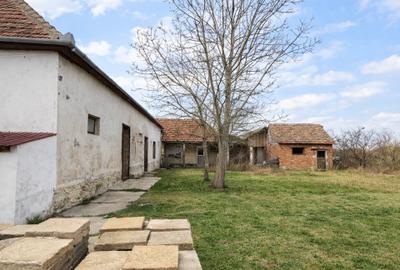 Spatiu Comercial de vanzare - 2