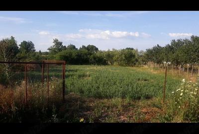 Casă cu 2 camere cu Teren 1439 Mp în Cermei - 6