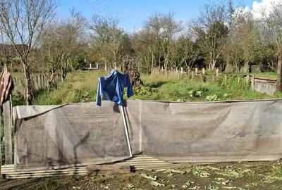 Casa la tara,2 camere,baie bucatarie,anexe. - 7