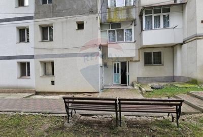 Garsoniera 21 mp, Dorohoi, Botosani - 13