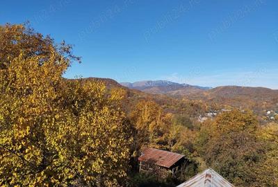 Casa si livada, de vanzare in localitatea Pausesti-Maglasi, sat Coasta. - 4