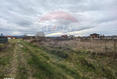 Teren de 500 mp, în Săcălășeni - 7