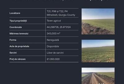 Teren de 343000 mp, în Mihăilești - 1