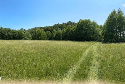 Teren de 3500 mp, în Central - 5