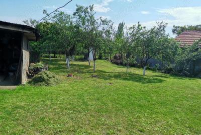 Casă cu 3 camere în Orbeasca - 4