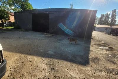 Spațiu comercial, de 558 mp, în Buzaului - 1