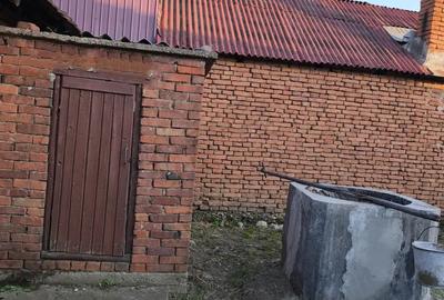 Se vinde in ?ibot Se vinde in ?ibot - 5