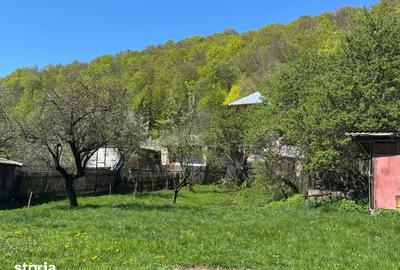 Teren de 1002 mp, în Valea Mare - 15