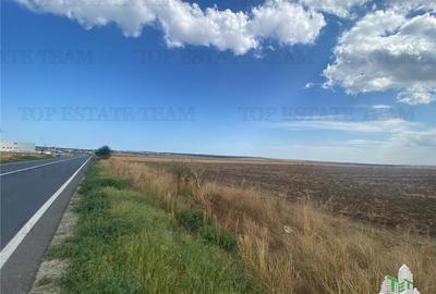 Teren extravilan in Mihail Kogalniceanu, Constanta - 3