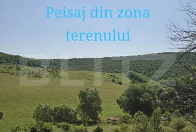 Teren de 1100 mp, în Sălicea - 2