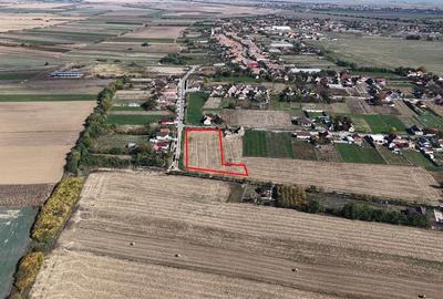 RECO Teren Cheresig 20 km de Oradea RECO Teren Cheresig 20 km de Oradea - 3