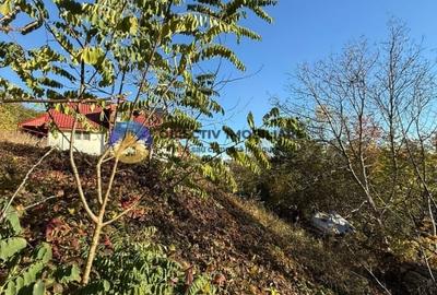 Teren intravilan 1543 mp - zona Darmanesti Teren intravilan 1543 mp - zona Darmanesti - 8