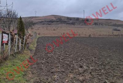 Casă cu 1 camere în Călimănești - 7