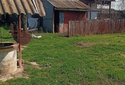 Teren Construcții intravilan de 1587 mp, în Bărăganul - 2