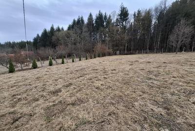 Teren intravilan | 1000 mp | de vanzare- Tocile, Sadu - 2