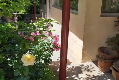 Casă cu 11 camere în Central - 5