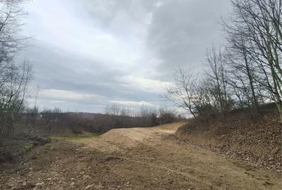 Spațiu comercial, în Sibiel - 3