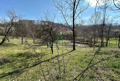 Teren de 8131 mp, în Băile Govora - 3