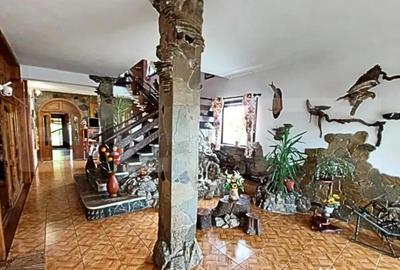 Casă cu 5 camere cu Teren 3000 Mp în Central - 16