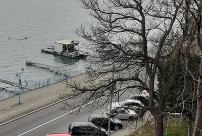 Apartament cu 2 camere decomandat în Orșova - 2