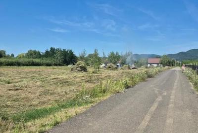 Teren de 3000 mp, în Merișor - 3