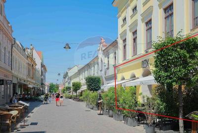 De vanzare -- Spatiu comercial parter 409 mp, Vasile Alecsandri - 59