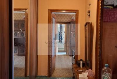 Apartament cu 3 camere în Gorjului - 8