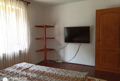 Casă de vacanță în Pojorâta - 11