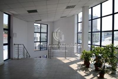 Stefan cel Mare /Comerciale/Birouri/Hala industriala - 8