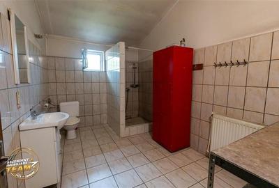 Spatiu comercial+afacere functionala: brutarie,rute de distributie,Ghelinta - 23