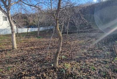 Casă cu 3 camere cu Teren 1900 Mp în Măgura - 3