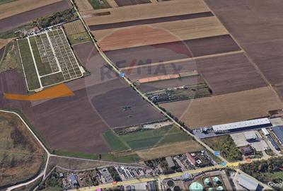 Teren Construcții intravilan de 11485 mp, în Nicolae Bălcescu - 2