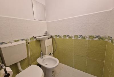 Apartament cu 3 camere decomandat în Barbu Văcărescu - 9