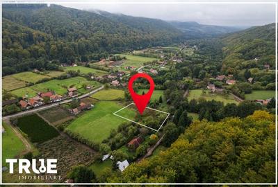 Teren intravilan Câmpul Cetății 2600m? - zonă de vacanță Teren intravilan Câmpul Cetății 2600m? - zonă de vacanță - 9