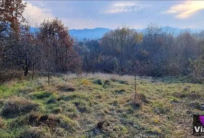 Teren Construcții intravilan de 996 mp, în Calea Poplăcii - 3