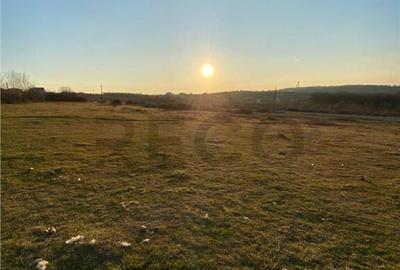 Teren de 2000 mp, în Spitalul Județean