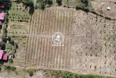 Teren de 6800 mp, în Mogoșești - 14