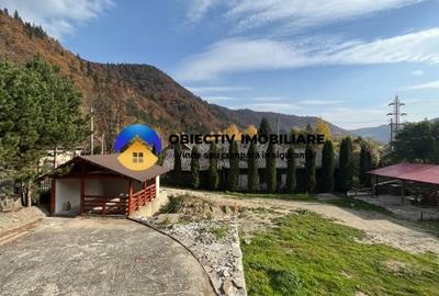 Vila-posibilitate pensiune Tarcau DN - 19