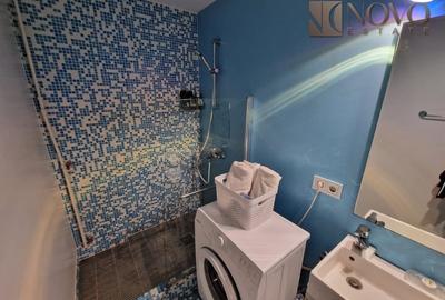 Garsonieră semidecomandată, mobilată în Tineretului - 11