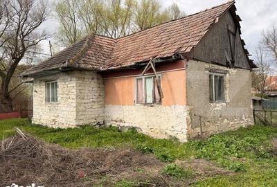 Casă cu 2 camere cu Teren 2600 Mp în Vultureni - 3