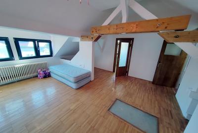 Zona Bd. Lacul Tei vila 7 camere disponibila pentru inchiriere. - 12