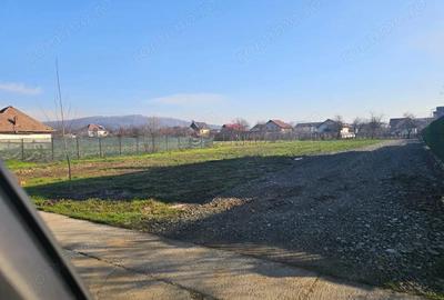 Teren de 448 mp, în Vest - 7